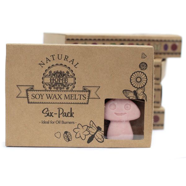 Cajas de 6 Ceras de Soja - Café