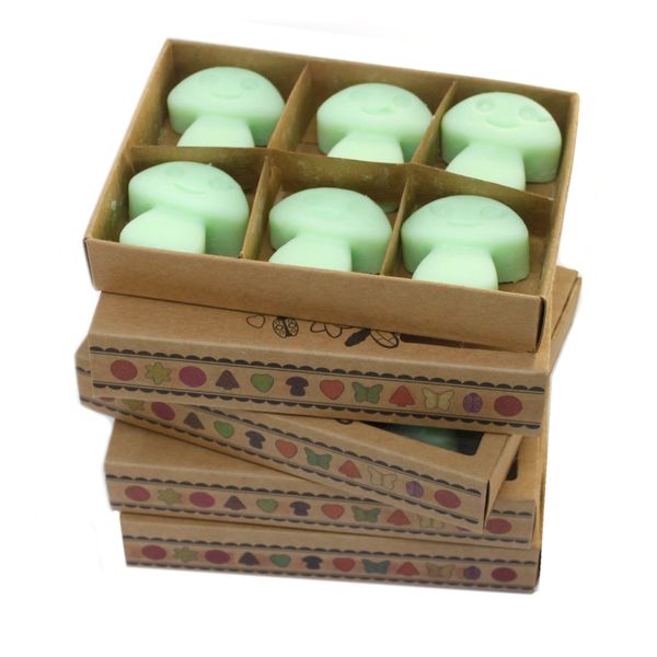 Cajas de 6 Ceras de Soja - Regaliz