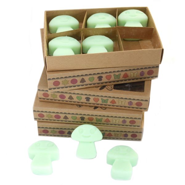Cajas de 6 Ceras de Soja - Regaliz