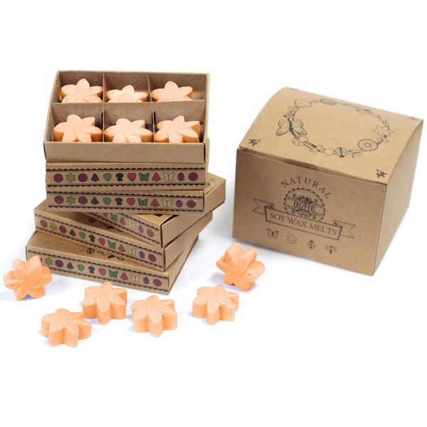 Caja de Cera de Soja-Mango