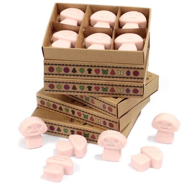 Cajas de 6 Ceras de Soja - Jengibre