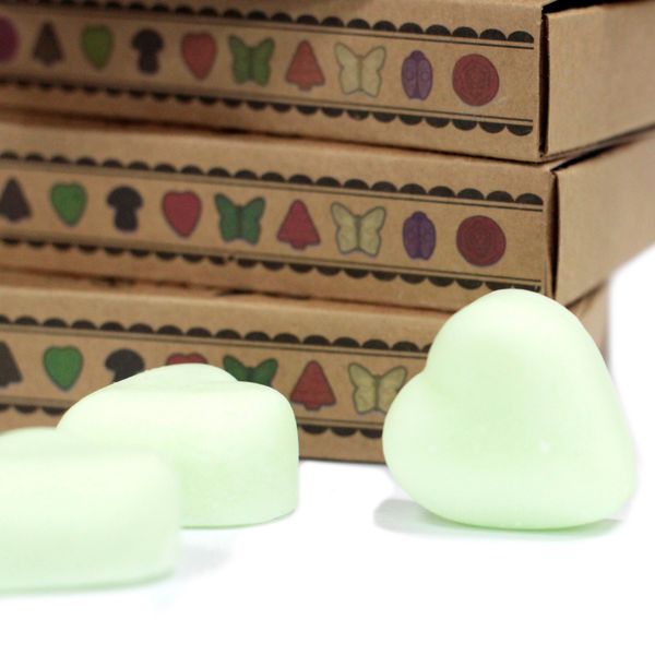 Cajas de 6 Ceras de Soja - Sandía