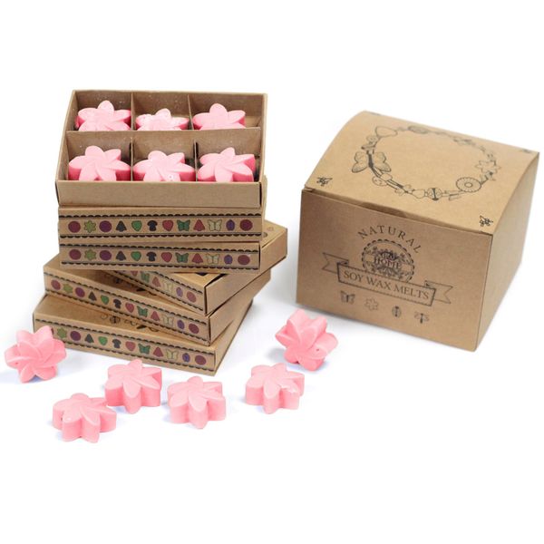 Cajas de 6 Ceras de Soja - Magnolia japonesa