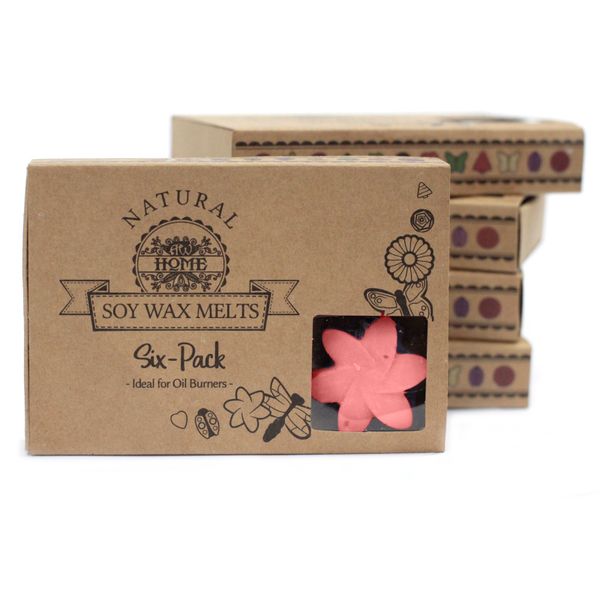 Cajas de 6 Ceras de Soja - Magnolia japonesa