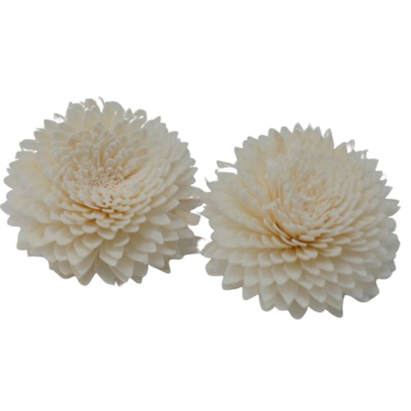Flores Para Difuroses - Lrg Clavo en Corda
