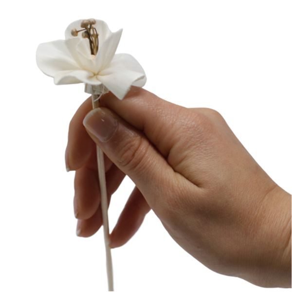 Flores Para Difuroses - Lirio en Caña