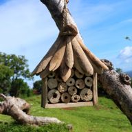 Refugio de insectos y abejas - Madera Flotante