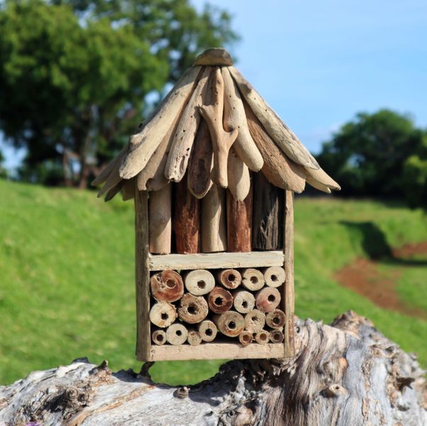 Refugio doble de insectos y abejas de Madera Flotante