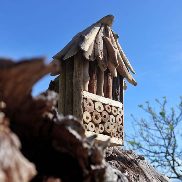 Refugio doble de insectos y abejas de Madera Flotante