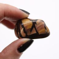 Piedras africanas medianas - Jasper Nguni