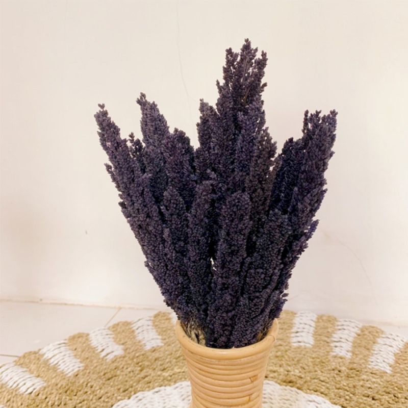 Manojo de hierba de Cantal - Negro