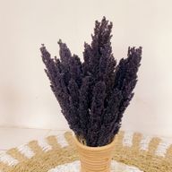 Manojo de hierba de Cantal - Negro