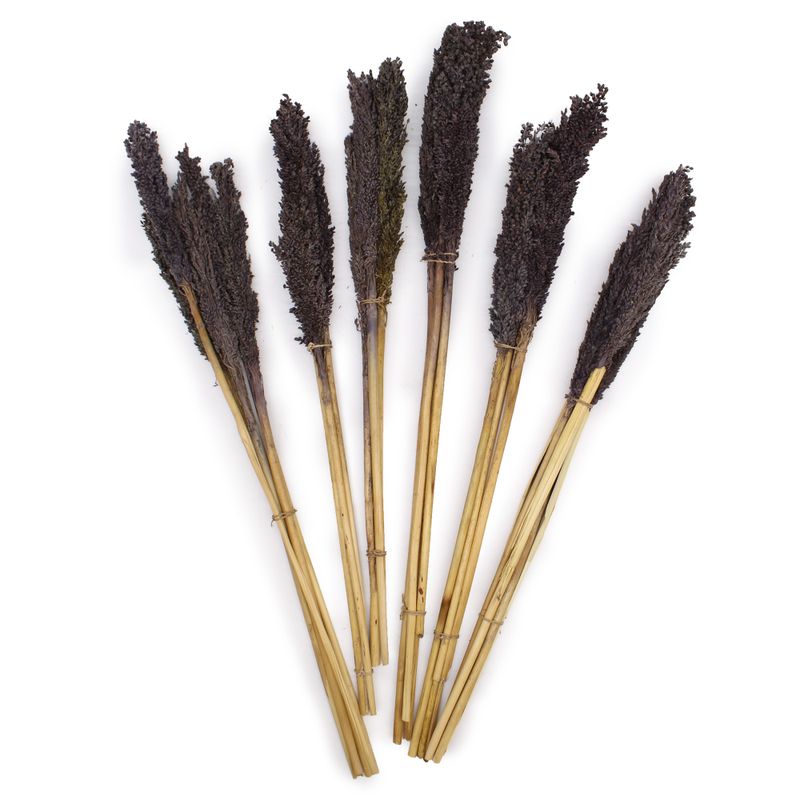 Manojo de hierba de Cantal - Negro