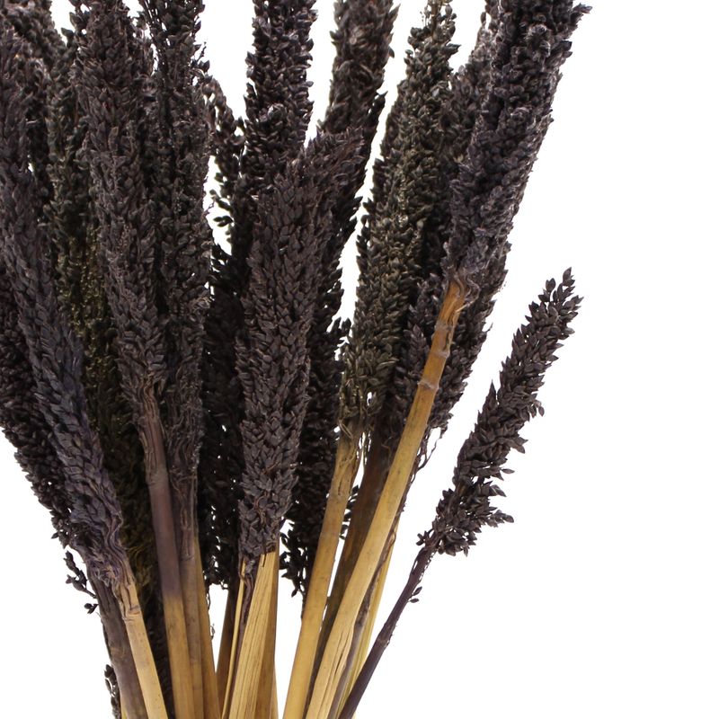 Manojo de hierba de Cantal - Negro