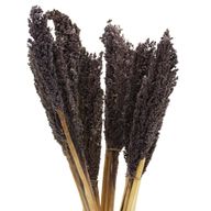 Manojo de hierba de Cantal - Negro