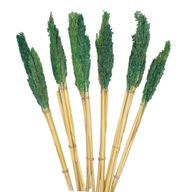Manojo de hierba Cantal - Verde