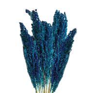 Manojo de hierba de Cantal - Azul