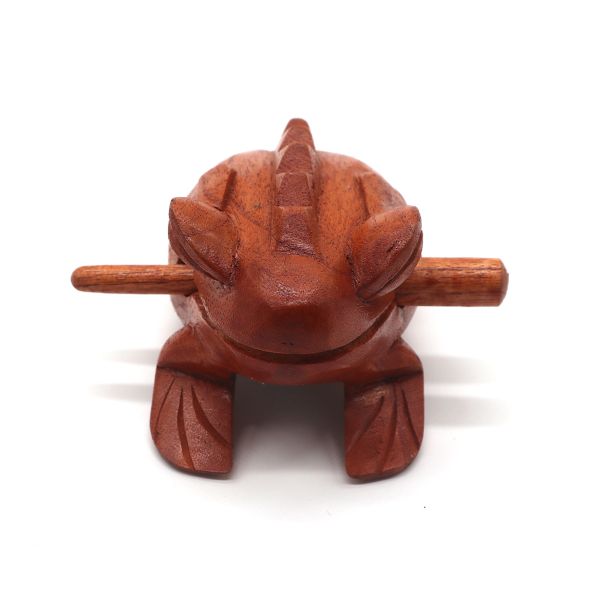 Rana de Madera Croadora - Pequeña