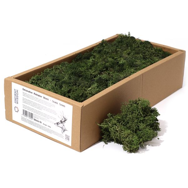 Musgo de Reno para Decoracion - Verde Oscuro - (aprox 500gm)