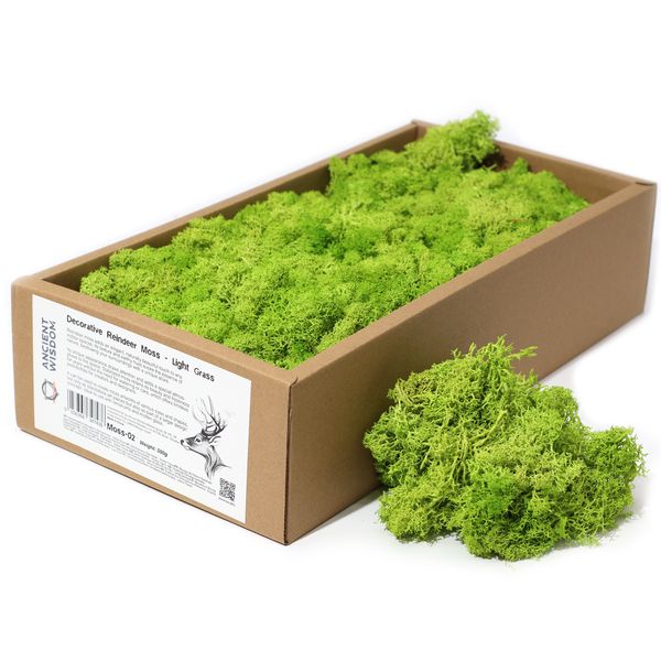 Musgo de Reno para Decoracion - Verde claro - (aprox 500gm)