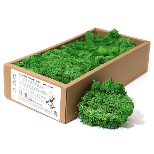 Musgo de Reno para Decoracion - Verde - (aprox. 500 g)