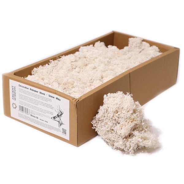 Musgo de Reno para Decoracion - Blanco - (aprox. 500 g)