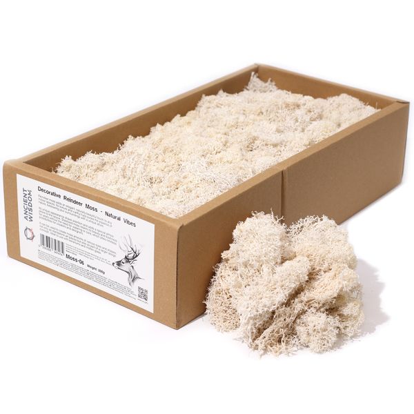 Musgo de Reno para Decoracion - Natural - (aprox 500gm)