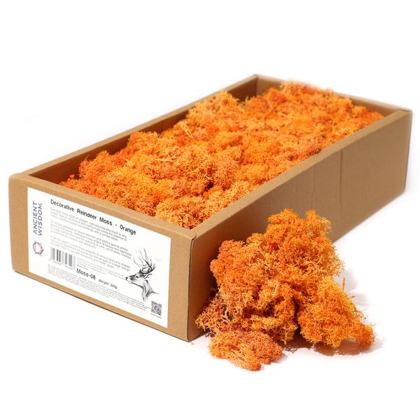 Musgo de Reno para Decoracion - Naranja - (aprox 500gm)