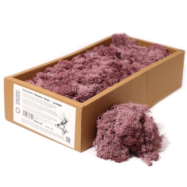 Musgo de Reno para Decoracion - Morado - (500gm aprox)