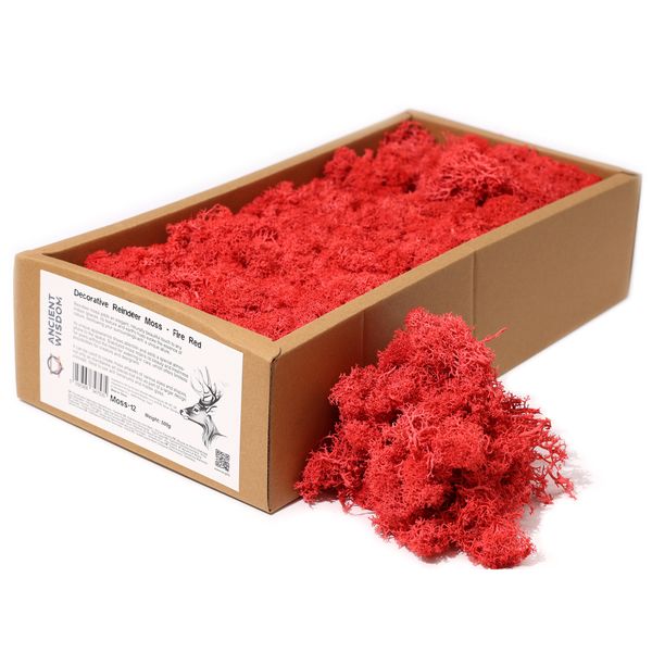 Musgo de Reno para Decoracion - Rojo - (500gm aprox)