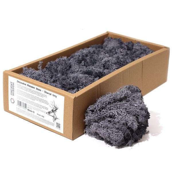 Musgo de Reno para Decoracion - Gris - (aprox. 500 g)