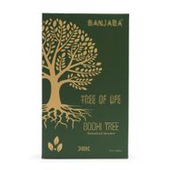 Incienso botánico Banjara - Árbol Bodhi