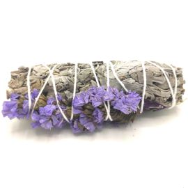 Vara de Barrojo - Salvia Feliz 10cm