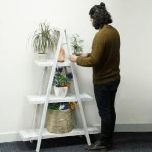 Expositores y Displays