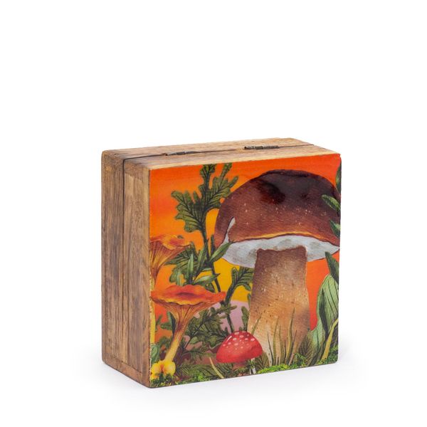 Caja Cuadrada Pequeña 10 x 10 x 4,2 cm - Hongo Granate