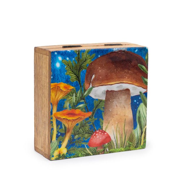 Caja Cuadrada Mediana 13,5 x 13,5 x 6 cm - Hongo Verde azulado