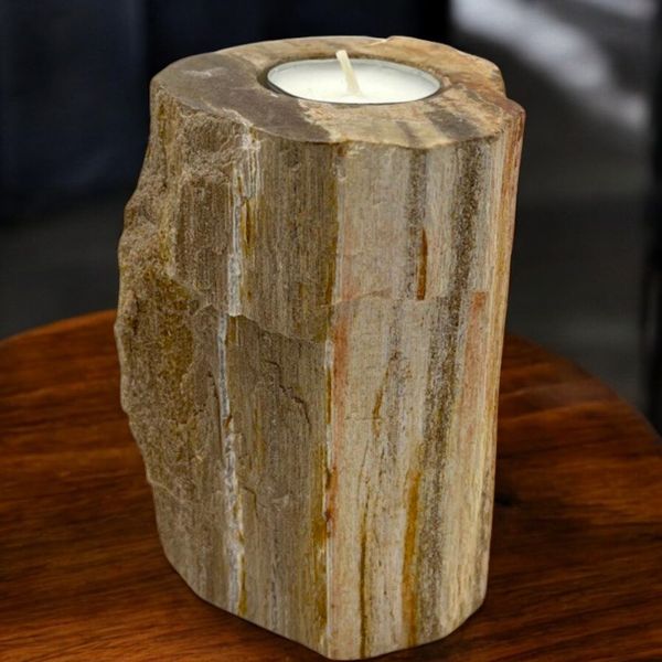 Portavelas de Madera Petrificada - Individual Alto