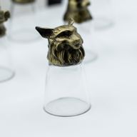 Vasos de chupito (25 ml) - Criaturas del bosque y místicas - Bronce antiguo