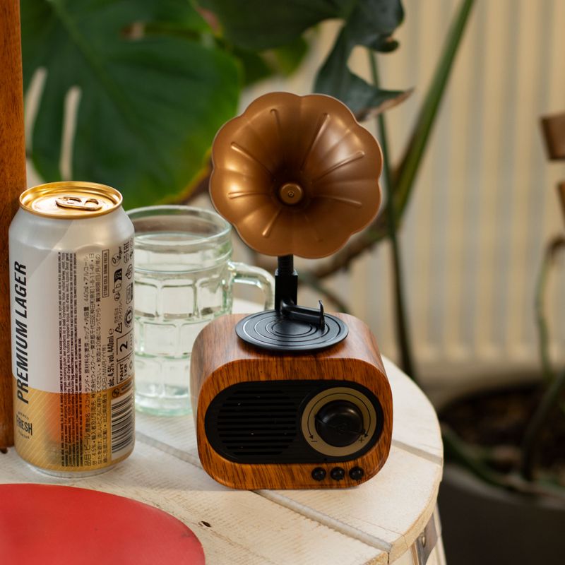 Mini Altavoz de Gramófono retro - Bluetooth y radio FM - 5 vatios x 1