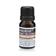 Pack de Inicio de Aceites Esenciales y Aceites Base