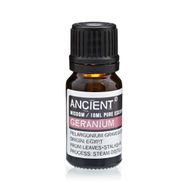 Pack de Inicio de Aceites Esenciales y Aceites Base