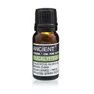 Pack de Inicio de Aceites Esenciales y Aceites Base