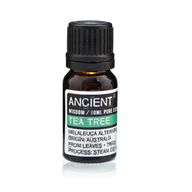 Pack de Inicio de Aceites Esenciales y Aceites Base
