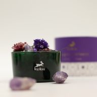 Hop Hare Cristales Difusores y Conjunto Floral - La Luna