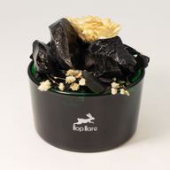 Hop Hare Cristales difusores y conjunto floral -  El Rey