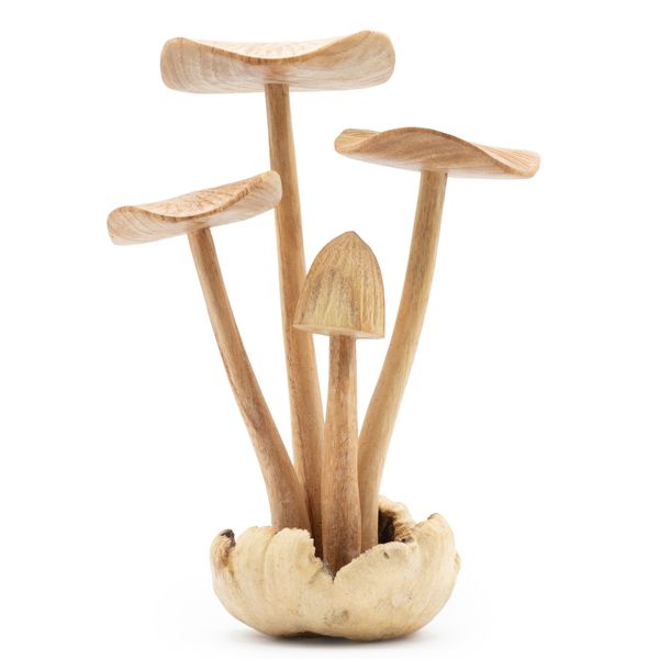 Figura de Madera Tallada a Mano  - Conjunto de 4 setas grandes
