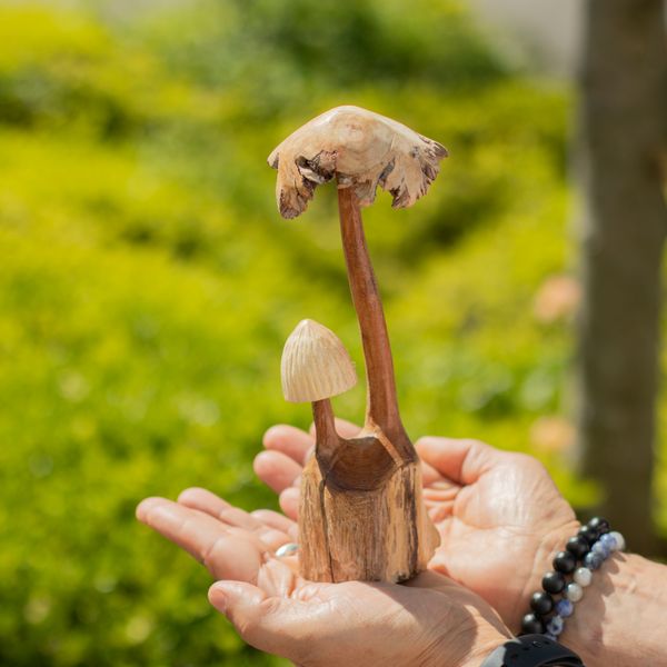 Figura de Madera Tallada a Mano  - Conjunto de dos setas