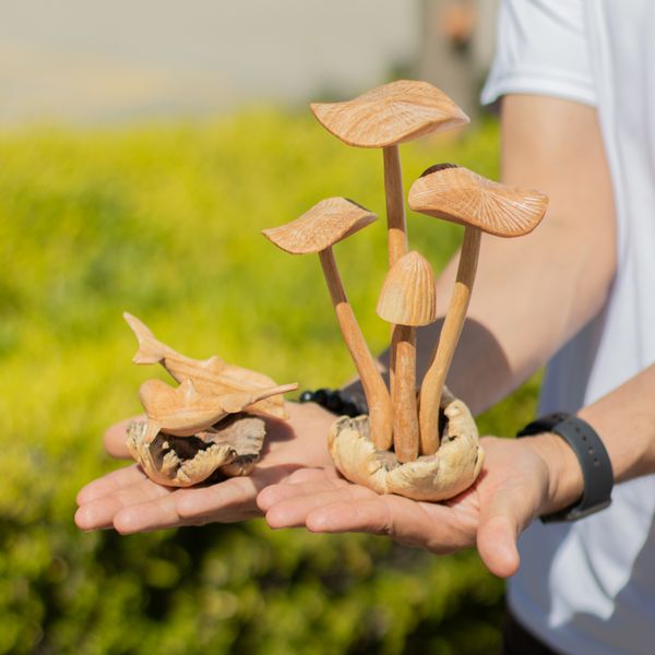 Figuras Talladas en Madera Parásita