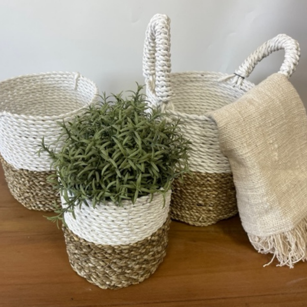 Conjunto de cestas de algas marinas