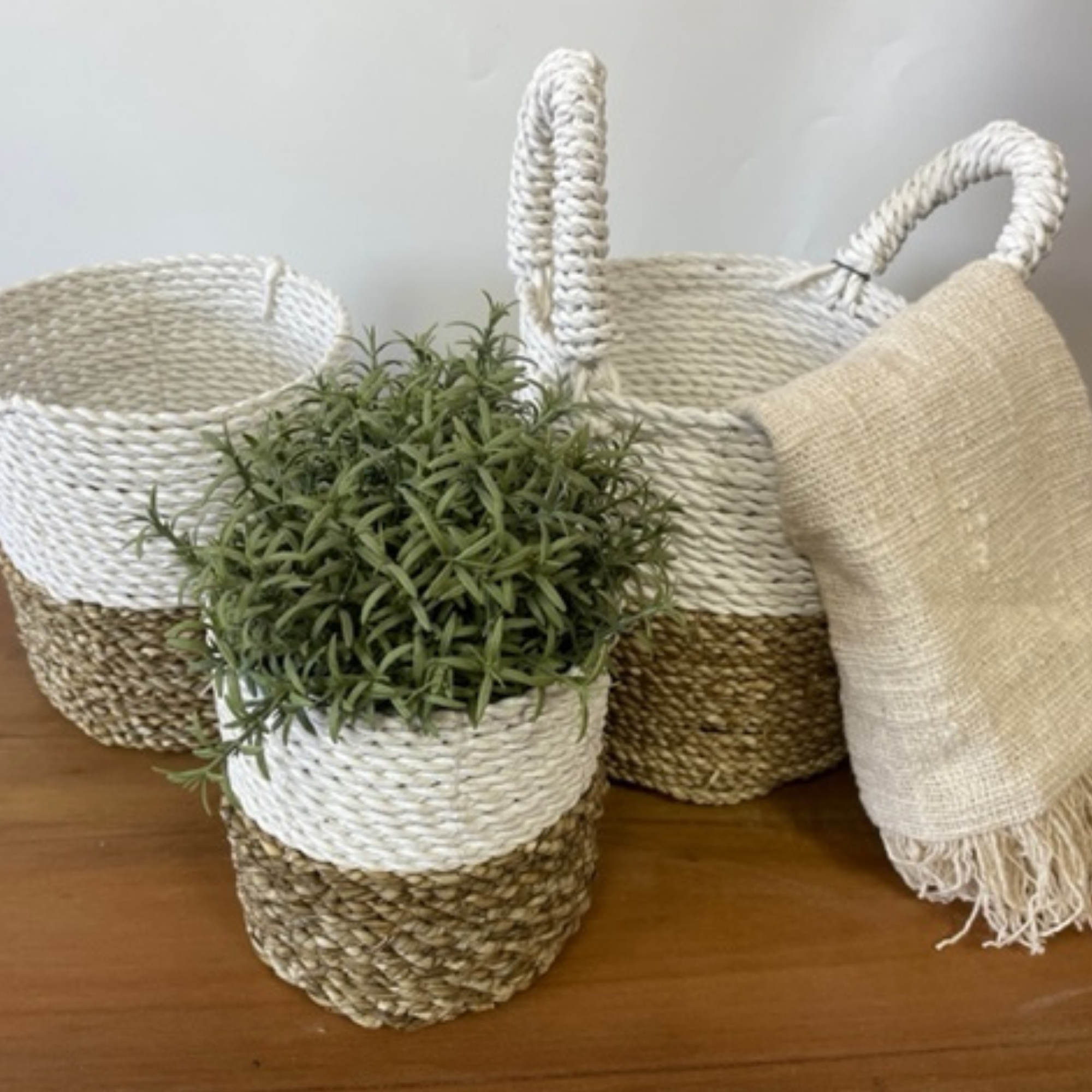 Conjunto de cestas de algas marinas